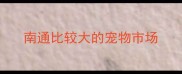 南通比较大的宠物市场