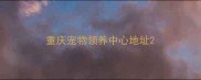 重庆宠物领养中心地址
