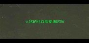 人吃的可以给泰迪吃吗
