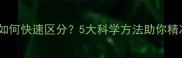 哈士奇公母如何快速区分5大科学方法助你精准识别性别