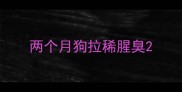 两个月狗拉稀腥臭
