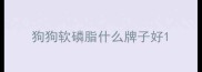 狗狗软磷脂什么牌子好