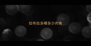 拉布拉多喂多少肉食