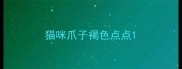 猫咪爪子褐色点点