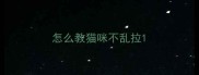 怎么教猫咪不乱拉