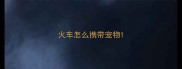 火车怎么携带宠物