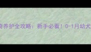 30天哈士奇养护全攻略新手必看0-1月幼犬护理要点