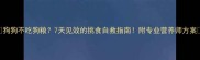 狗狗不吃狗粮7天见效的挑食自救指南附专业营养师方案