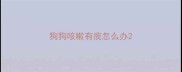 狗狗咳嗽有痰怎么办