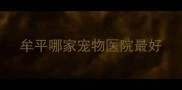 牟平哪家宠物医院最好