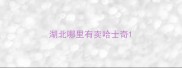 湖北哪里有卖哈士奇