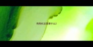 狗狗托运需要什么