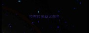 拉布拉多幼犬白色
