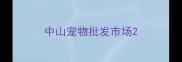 中山宠物批发市场