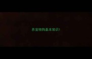 养宠物狗基本常识