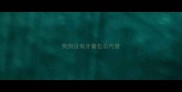 狗狗没有牙膏怎么代替