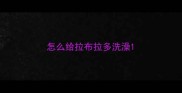 怎么给拉布拉多洗澡