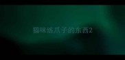 猫咪练爪子的东西
