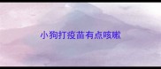 小狗打疫苗有点咳嗽