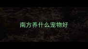 南方养什么宠物好