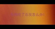 狗狗吃了石灰怎么办