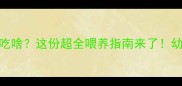 5个月泰迪能吃啥这份超全喂养指南来了幼犬家长必看