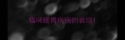 猫咪肠胃疾病的表现