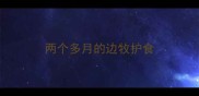两个多月的边牧护食