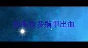 拉布拉多指甲出血