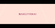 格力犬三个月多大