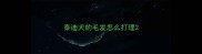 泰迪犬的毛发怎么打理