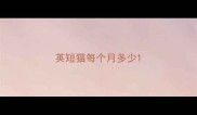 英短猫每个月多少