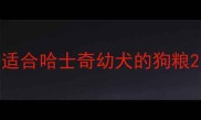 适合哈士奇幼犬的狗粮