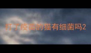 打了疫苗的猫有细菌吗