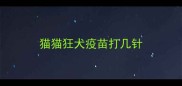 猫猫狂犬疫苗打几针