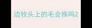 边牧头上的毛会换吗