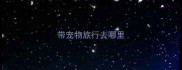 带宠物旅行去哪里