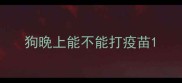 狗晚上能不能打疫苗