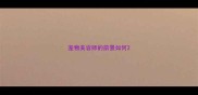 宠物美容师的前景如何