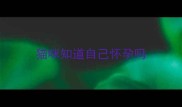 猫咪知道自己怀孕吗