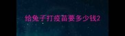 给兔子打疫苗要多少钱