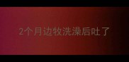 2个月边牧洗澡后吐了