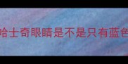 哈士奇眼睛是不是只有蓝色