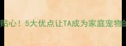 养拉布拉多超贴心5大优点让TA成为家庭宠物的最佳选择