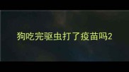 狗吃完驱虫打了疫苗吗