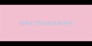 狗狗打完疫苗能寄养吗