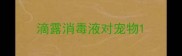 滴露消毒液对宠物