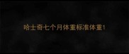 哈士奇七个月体重标准体重