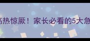 两个月大幼犬突发高热惊厥家长必看的5大急救措施与预防指南