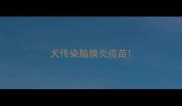 犬传染脑膜炎疫苗
